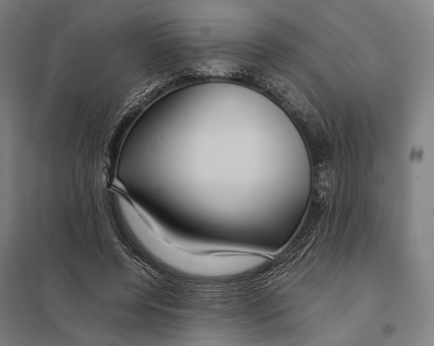 X0000097760544200803281636