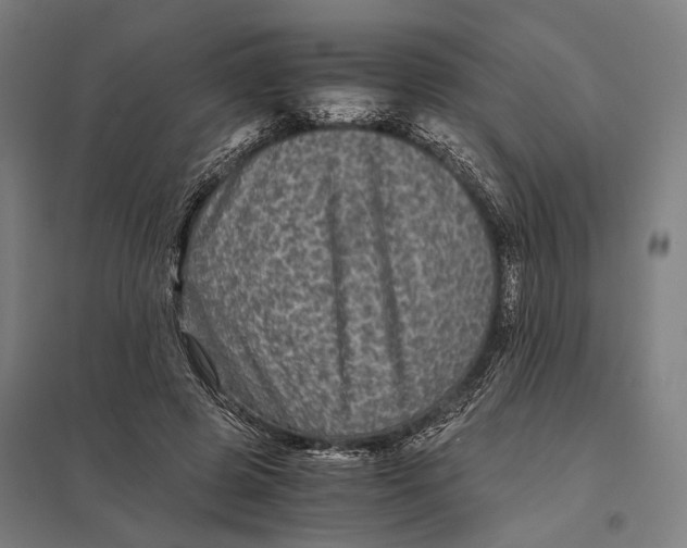 X0000097760545200803281636