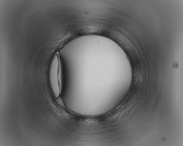 X0000097760546200803281636