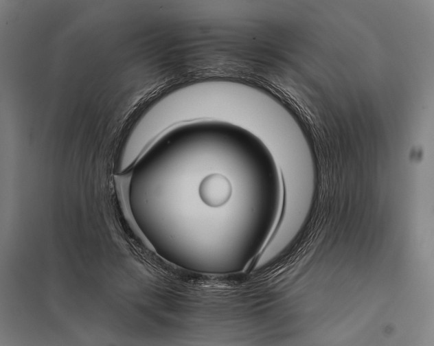 X0000097760547200803281636