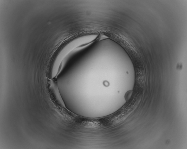 X0000097760548200803281636