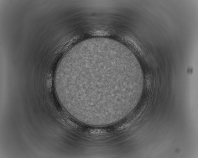 X0000097760549200803281636