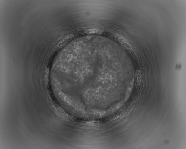 X0000097760550200803281636