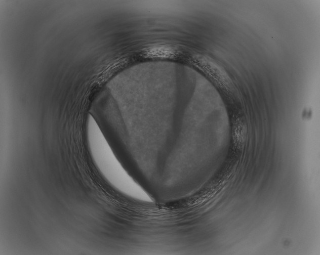 X0000097760551200803281636