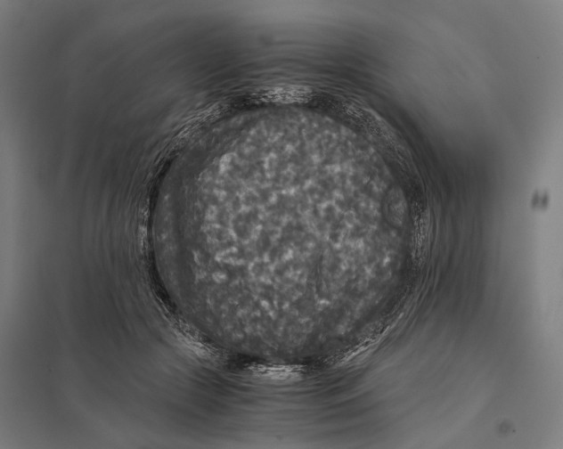 X0000097760553200803281636