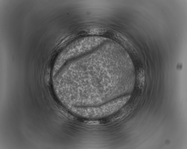 X0000097760554200803281636