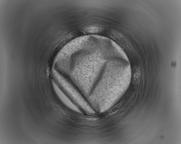 X0000097760555200803281636