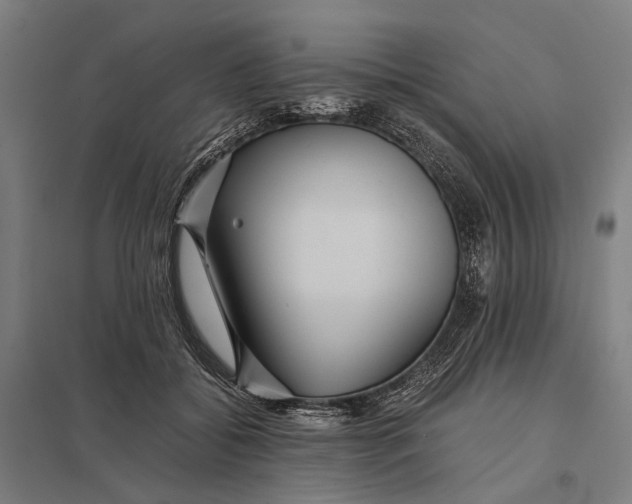 X0000097760556200803281636