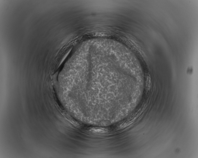 X0000097760557200803281636