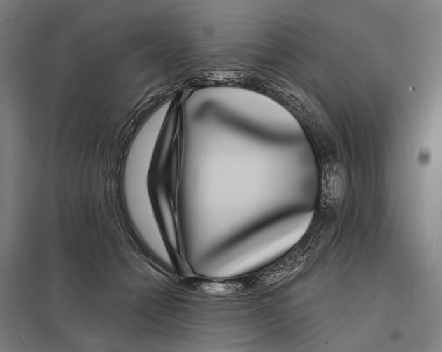 X0000097760558200803281636