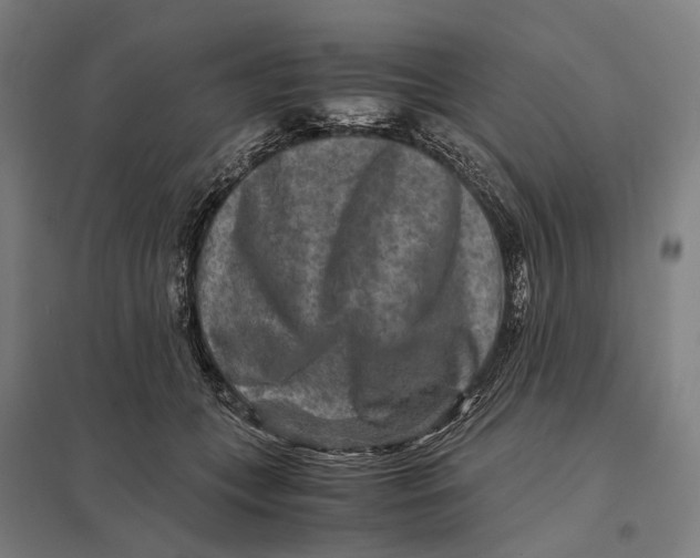 X0000097760559200803281636