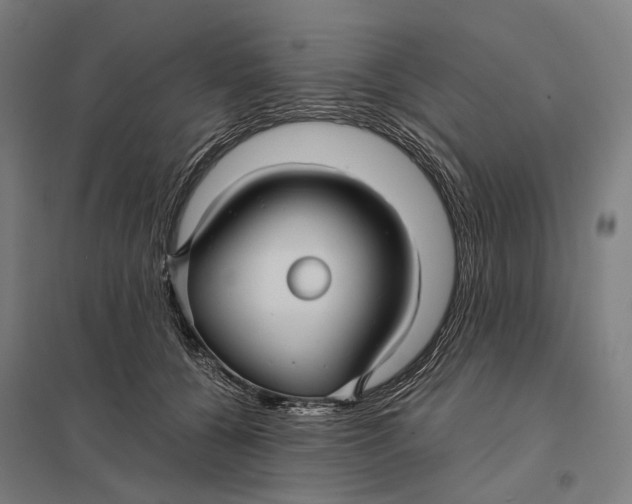 X0000097760560200803281636