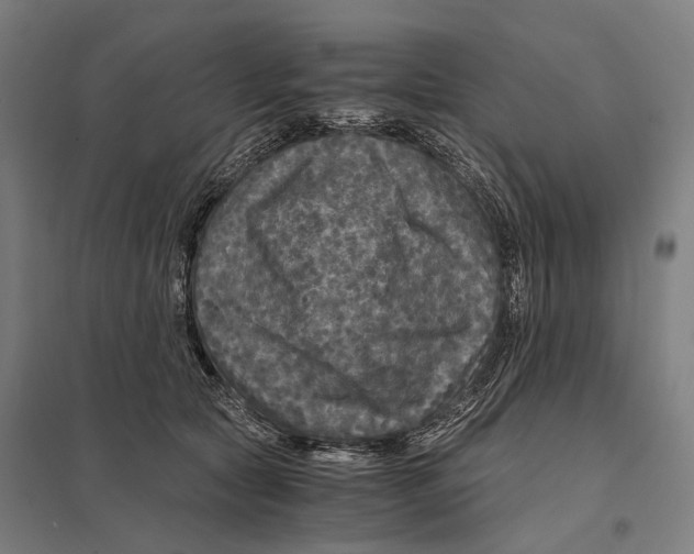 X0000097760561200803281636