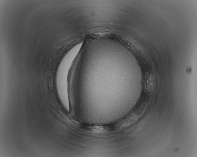 X0000097760562200803281636