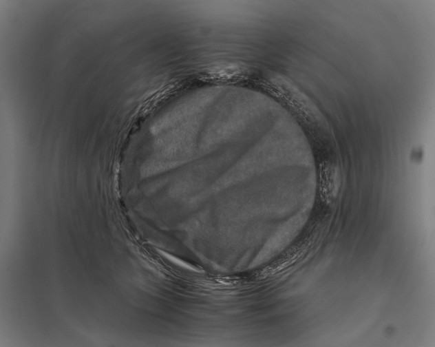 X0000097760563200803281636