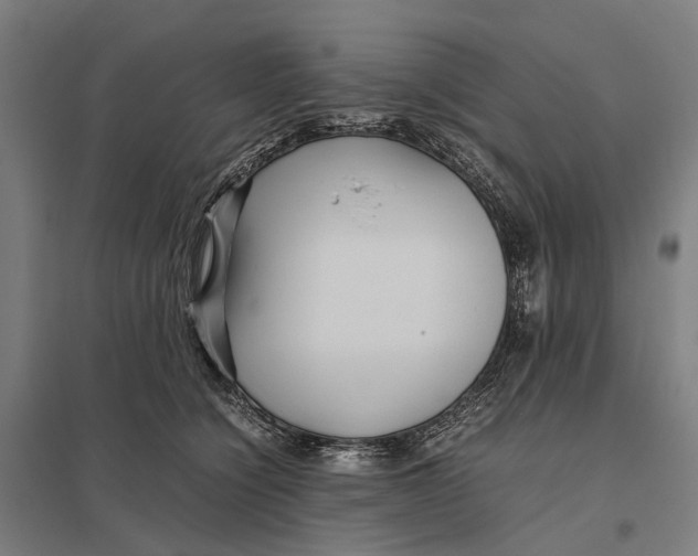 X0000097760564200803281636