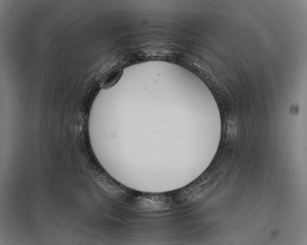 X0000097760567200803281636