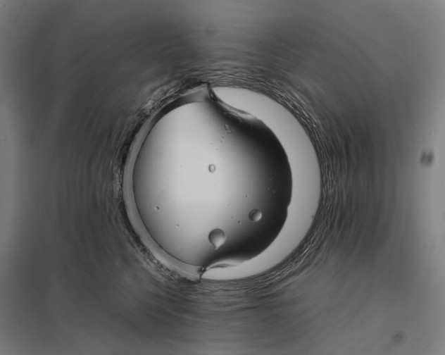 X0000097760568200803281636