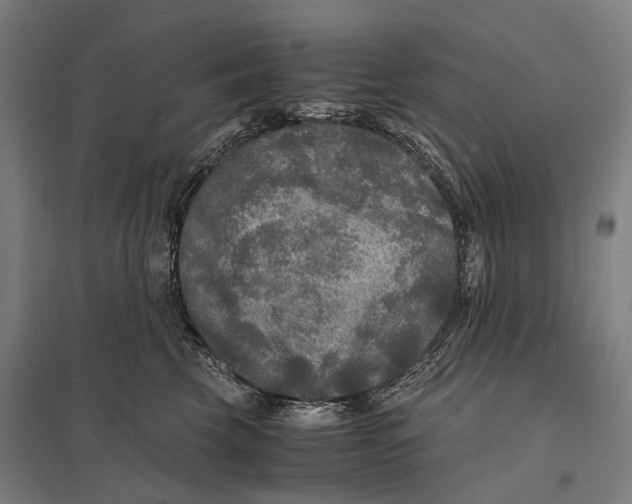 X0000097760569200803281636