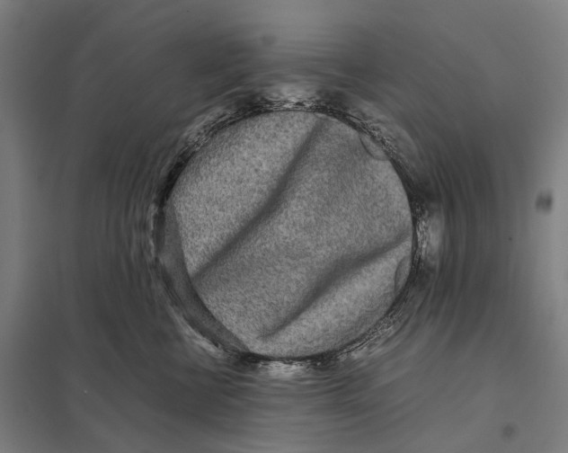 X0000097760570200803281636