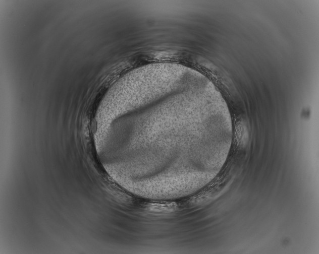 X0000097760571200803281637