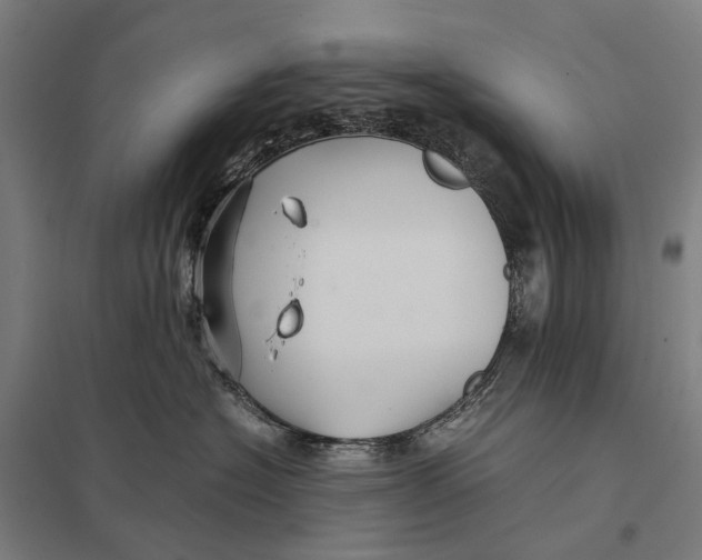 X0000097760574200803281637