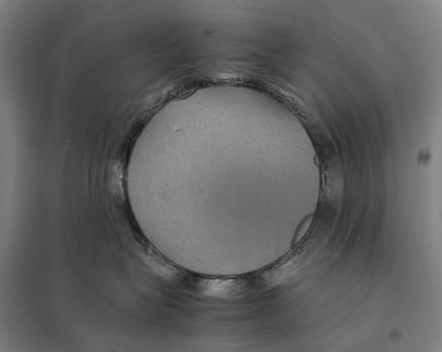 X0000097760575200803281637