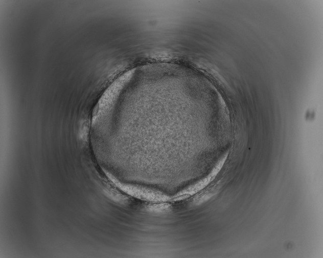 X0000097760576200803281637