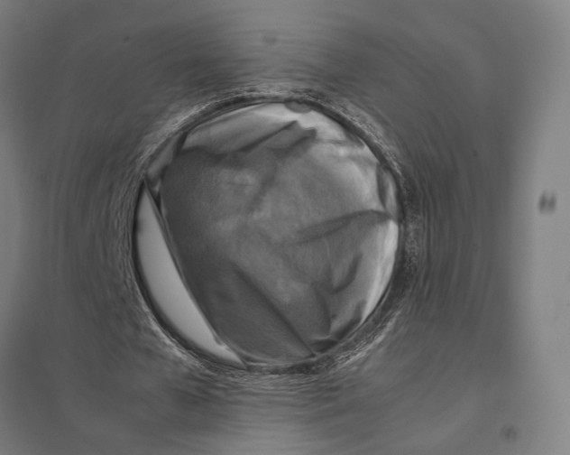 X0000097760577200803281636