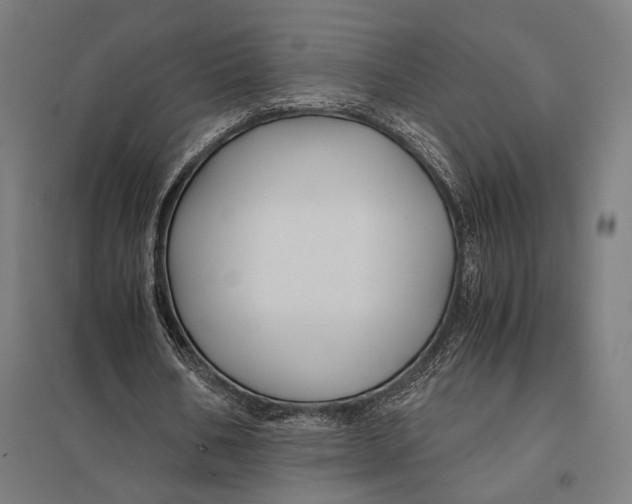 X0000097760578200803281636