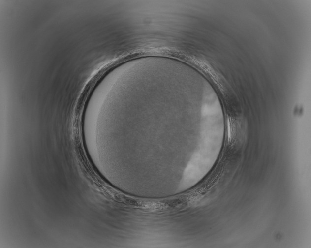 X0000097760579200803281636