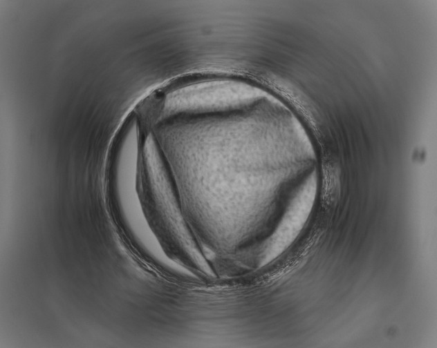 X0000097760580200803281636