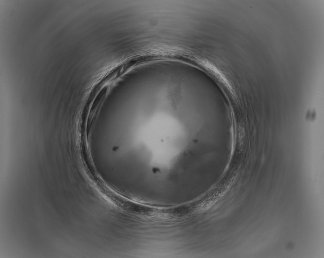 X0000097760581200803281636