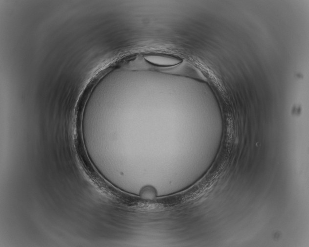 X0000097760582200803281636