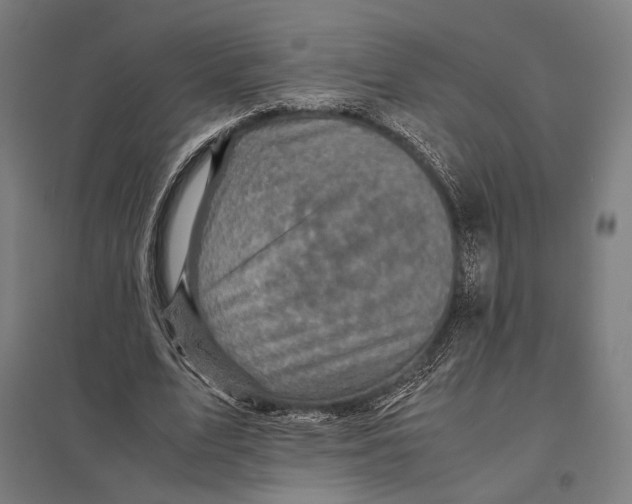 X0000097760583200803281636