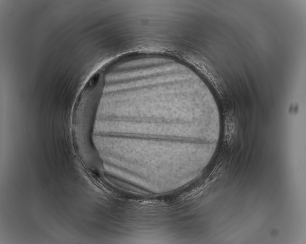 X0000097760584200803281636