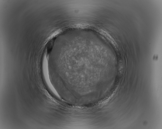 X0000097760585200803281636