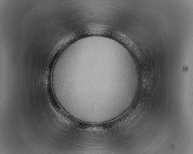 X0000097760586200803281636