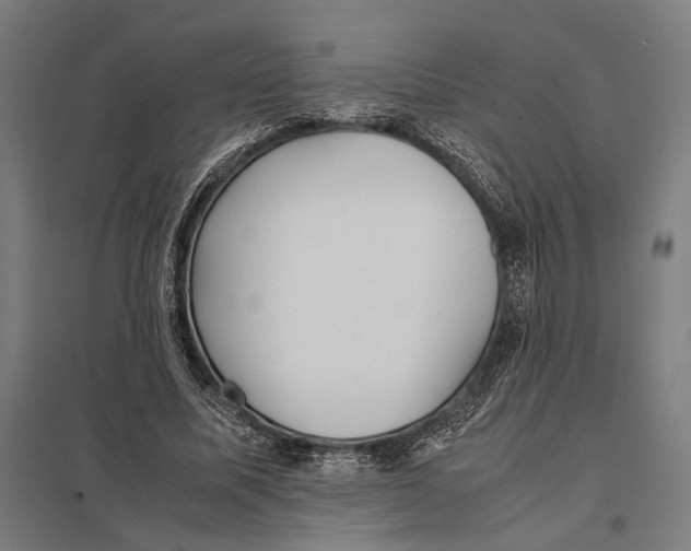 X0000097760587200803281636