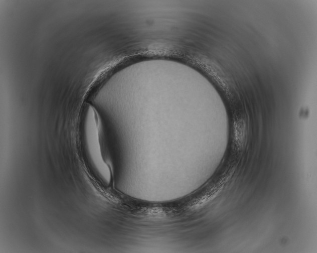 X0000097760588200803281636