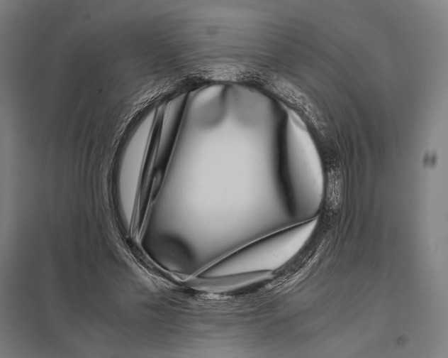 X0000097760589200803281636