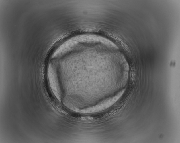 X0000097760591200803281636