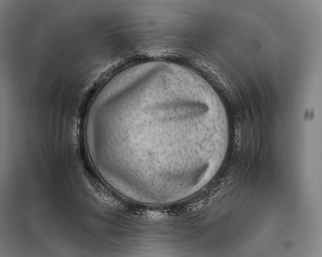 X0000097760592200803281636