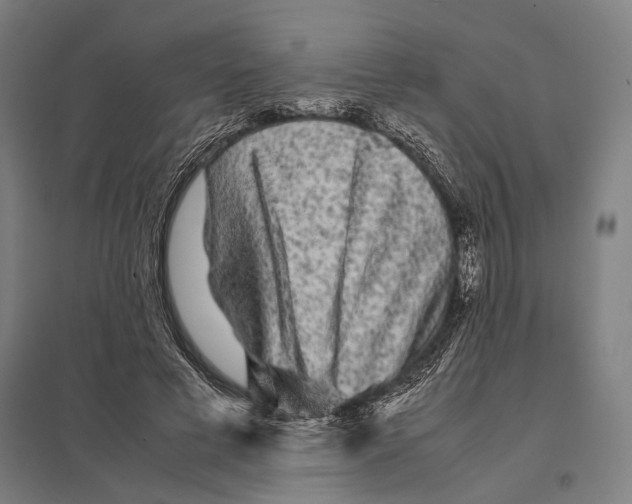 X0000097760593200803281636