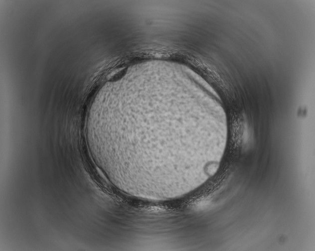 X0000097760594200803281636