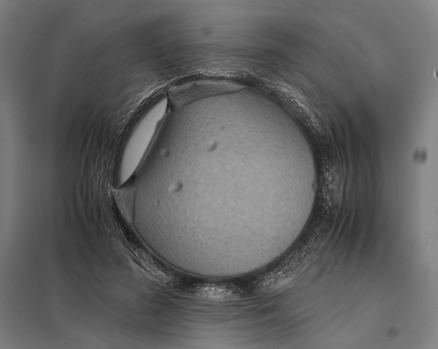 X0000097760596200803281635