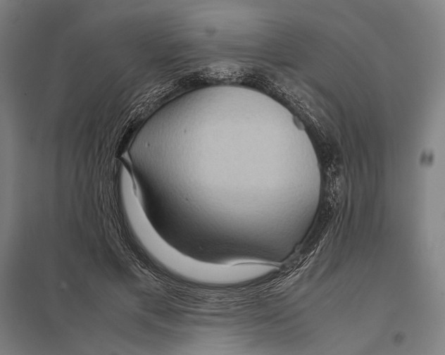 X0000097760597200803281635