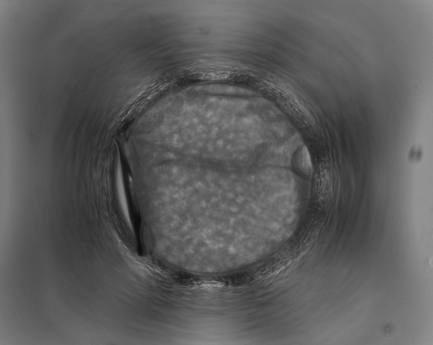 X0000097760598200803281635