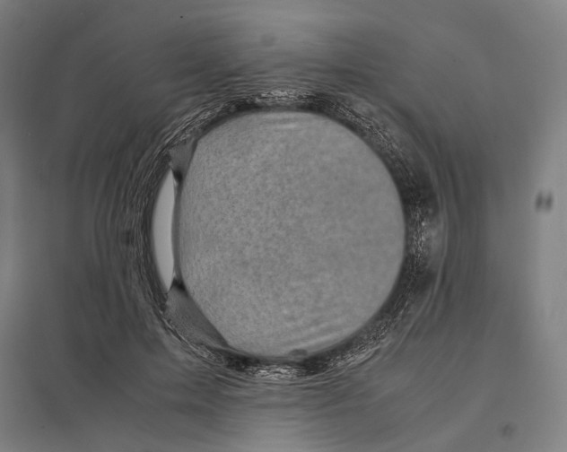 X0000097760599200803281635