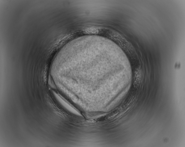 X0000097760600200803281635